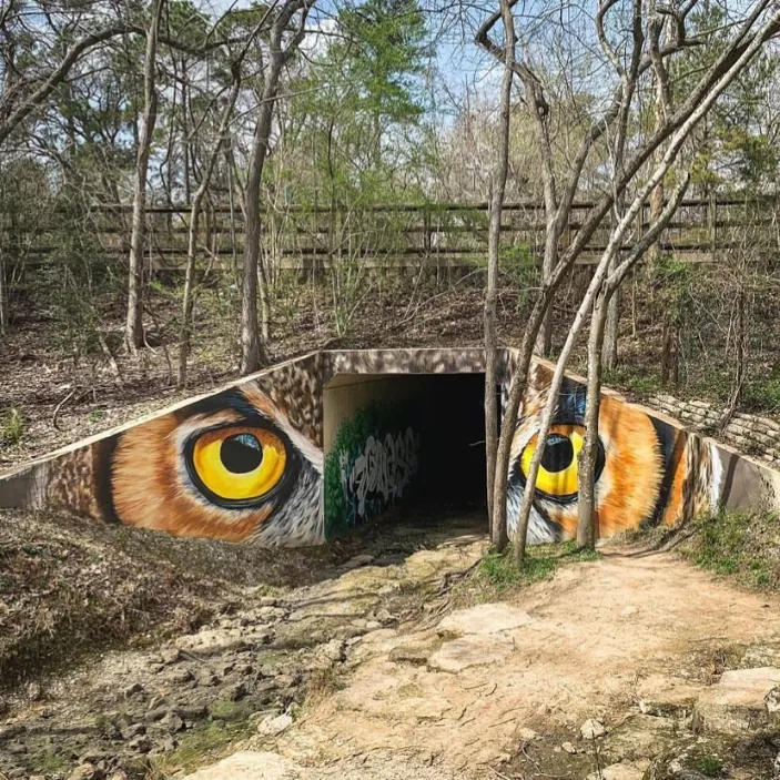 Anat Ronen @anatronen1971 Houston Arboretum