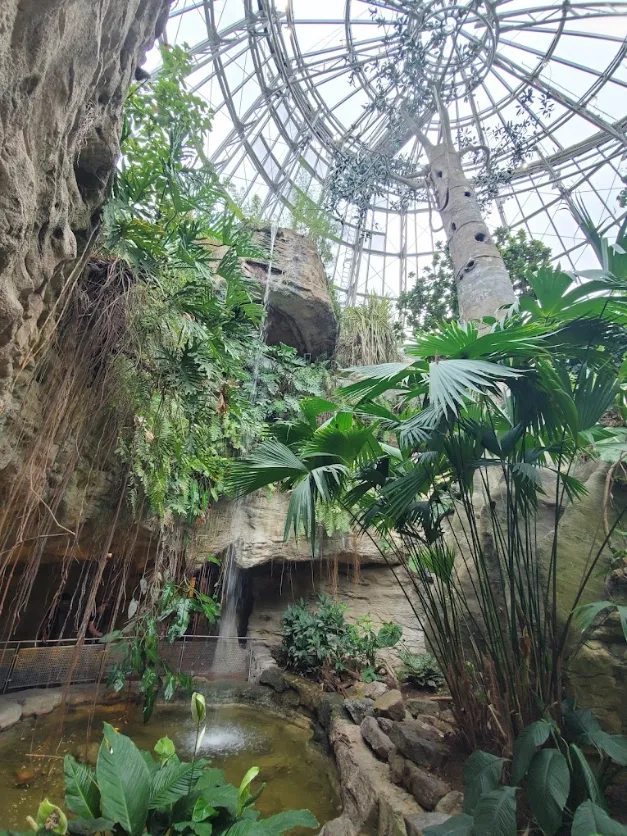 Cockrell Butterfly Center