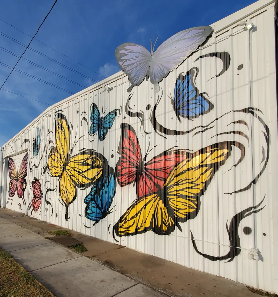 butterfly mural in houston tx