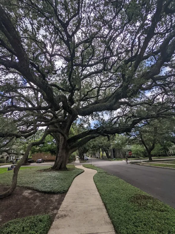 sidewalk by menli collection