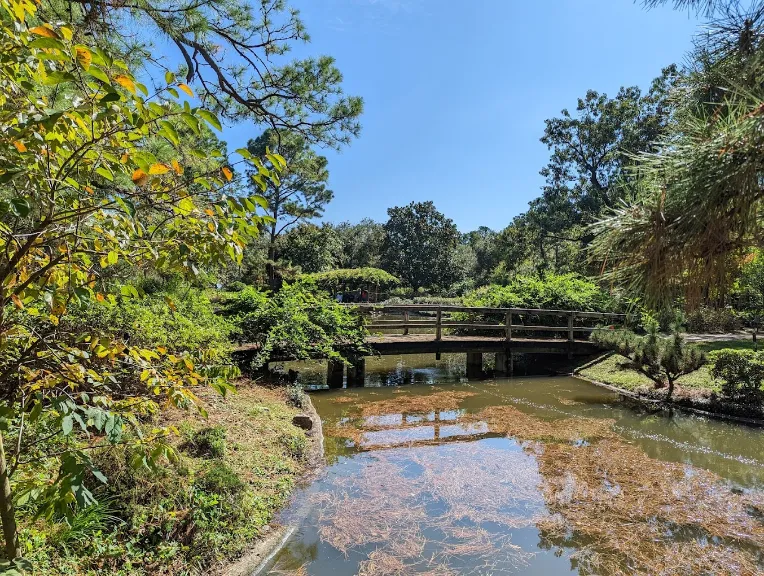 the bridge at hermann park